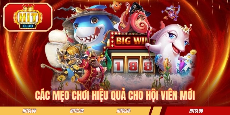 Các mẹo chơi hiệu quả cho hội viên mới