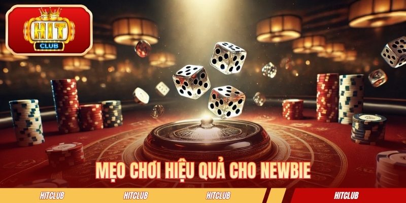 Mẹo chơi hiệu quả cho newbie