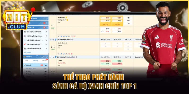 Thể thao phát hành sảnh cá độ xanh chín top 1
